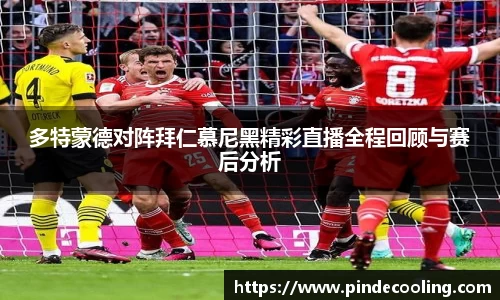 DB旗舰官网