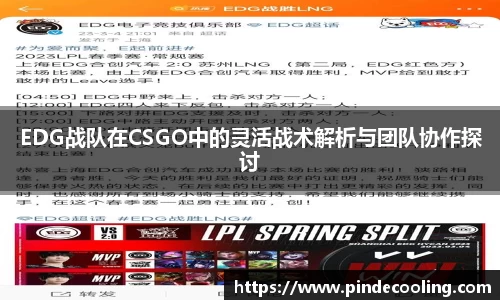 DB旗舰官网
