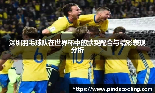 DB旗舰官网